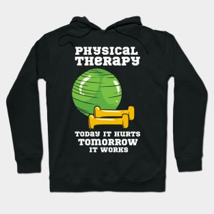 Physical Therapy, Physical  Therapist Hoodie